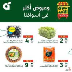 عروض بنده 