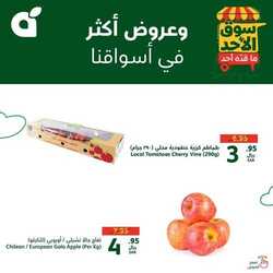 عروض بنده 