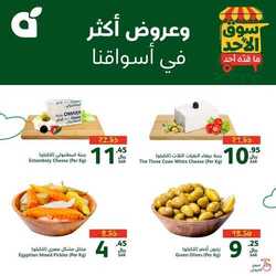 عروض بنده 