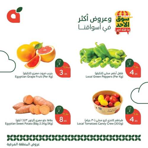 عروض بنده 