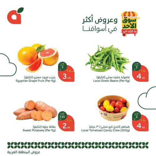 عروض بنده 