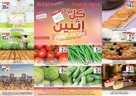 sh1 نسخ 1