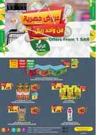 ra1 نسخ 1
