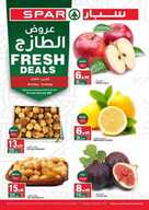SPAR 2 8 20211 نسخ