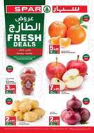 sp1 نسخ 1