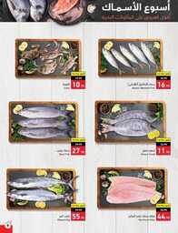 Best Offers 230726 005037 10