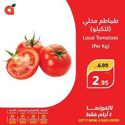 FB IMG 1701245632908