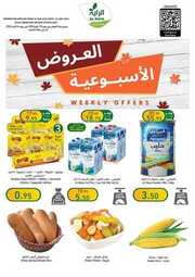 FB IMG 1704824153226