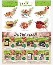 IMG ٢٠٢٤٠١٢٣ ١٨٢٢٥٢ 1