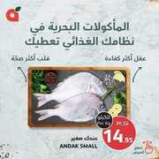 عروض بنده الطازج اليوم الأحد 24 مارس 2024 الموافق 14 رمضان 1445 40 1000130966