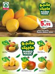 FB IMG 1713965195947