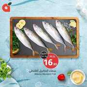 FB IMG 1714329903319