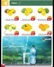 IMG ٢٠٢٤٠٤١٨ ٠٩٣٨٤٧