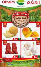IMG ٢٠٢٤٠٥١٩ ٢١١١٠٦