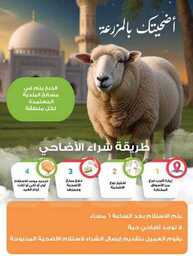 243westrnestrenriyadhskakaarar 240605 094003 2