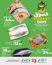 FB IMG 1717925527000