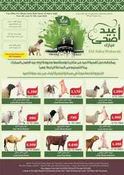 عروض الراية الاسبوعية 12 يونيو 2024 - الموافق 6 ذو الحجة 1445 عيد مبارك 56 FB IMG 1718172481119