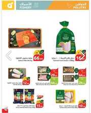IMG ٢٠٢٤٠٦١٣ ٠٩٤٩٥١