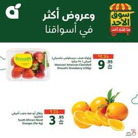 FB IMG 1722154211429