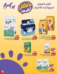 4I3Yeq