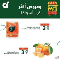 FB IMG 1722756952380