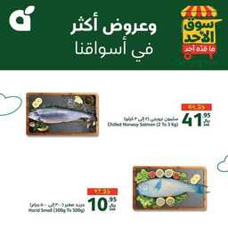 FB IMG 1722756955950