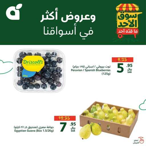FB IMG 1729408219209
