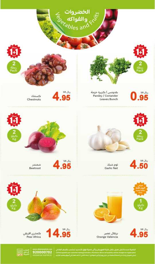FreshFoodFestival 241201 210702 3
