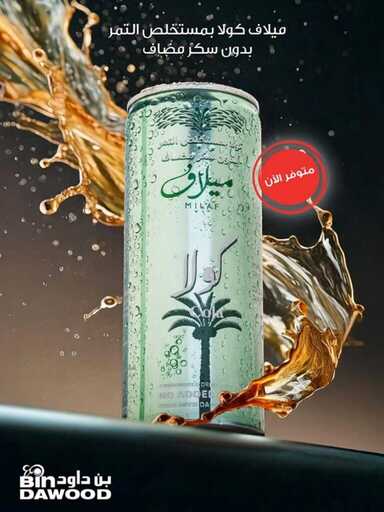 ALL REGIONS 2 WEEKS 04 12 2024 till 17 12 2024 241203 230709 20