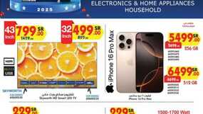 ALL REGIONS 2 WEEKS ELECTRONICS 31 12 2024 till 241230 211900 1