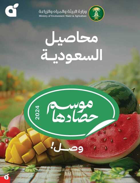 بنده5 scaled
