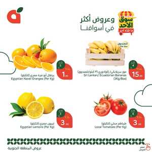 عروض بنده