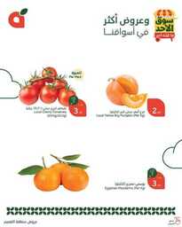 عروض بنده اليوم من تاريخ 2 فبراير 2025 - الموافق 3 شعبان 1446 سوق الاحد الطازج 7 FB IMG 1738481749065