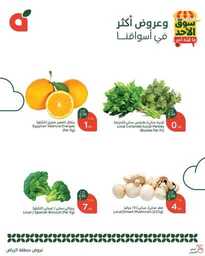 عروض بنده اليوم من تاريخ 16 فبراير 2025 - الموافق 17 شعبان 1446 عروض الطازج 2 FB IMG 1739685957178