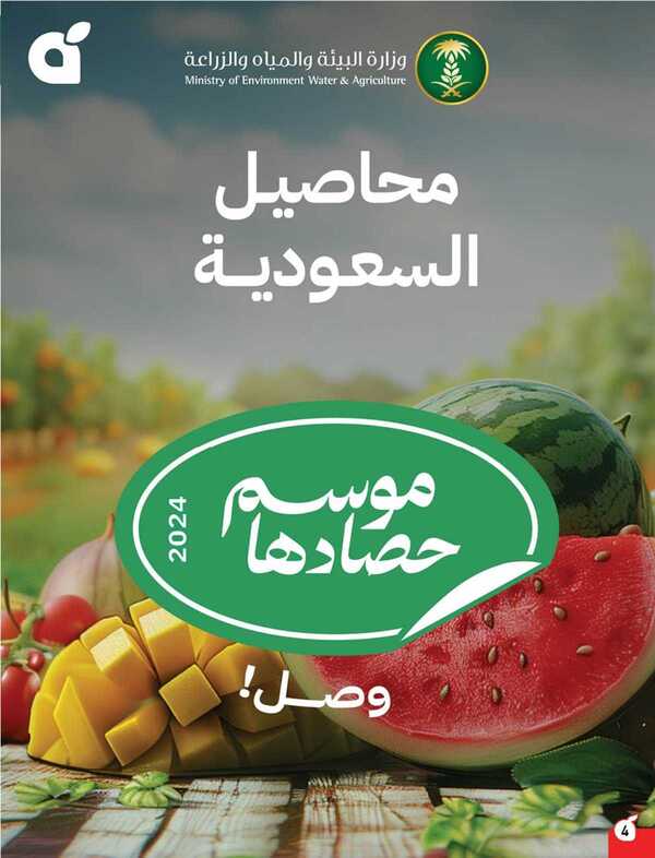 qRmL5E
