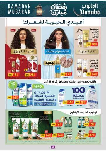 المنطقة الوسطى عروض الاسبوعين الدانوب 250212 093346 71