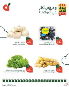 عروض بنده اليوم من تاريخ 9 مارس 2025 - الموافق 9 رمضان 1446 سوق الاحد الطازج 8 482301147 1038051025024476 8402458311511838978 n