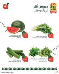 عروض بنده اليوم من تاريخ 16 مارس 2025 - الموافق 16 رمضان 1446 سوق الاحد الطازج 11 483756111 1042608277902084 7572164203793155620 n