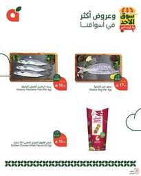 عروض بنده اليوم من تاريخ 16 مارس 2025 - الموافق 16 رمضان 1446 سوق الاحد الطازج 19 484362742 1042609807901931 7660413152100561193 n
