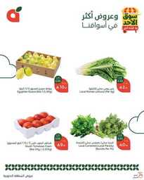 عروض بنده اليوم من تاريخ 16 مارس 2025 - الموافق 16 رمضان 1446 سوق الاحد الطازج 14 484492890 1042609081235337 5448251606293284765 n