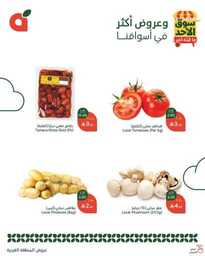 عروض بنده اليوم من تاريخ 16 مارس 2025 - الموافق 16 رمضان 1446 سوق الاحد الطازج 8 484629255 1042607681235477 2321412372622086273 n