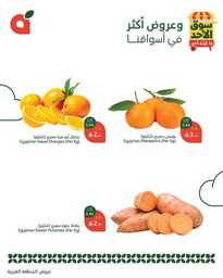 عروض بنده اليوم من تاريخ 16 مارس 2025 - الموافق 16 رمضان 1446 سوق الاحد الطازج 9 484820868 1042607677902144 395644075500052707 n