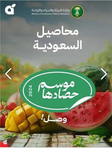 IMG 20250409 WA0014
