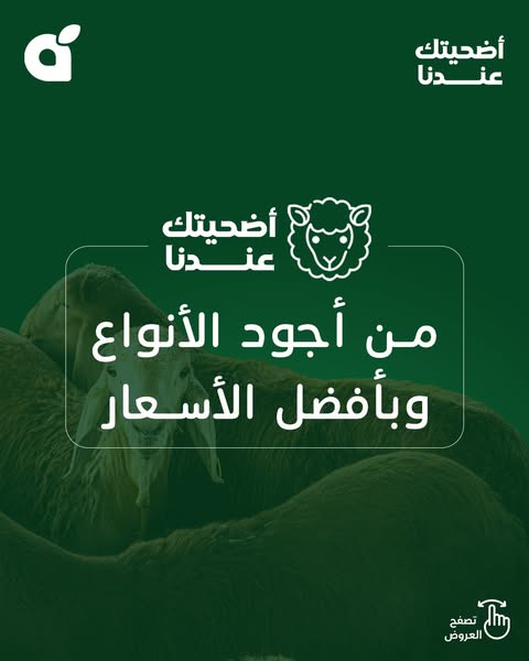 عروض بنده