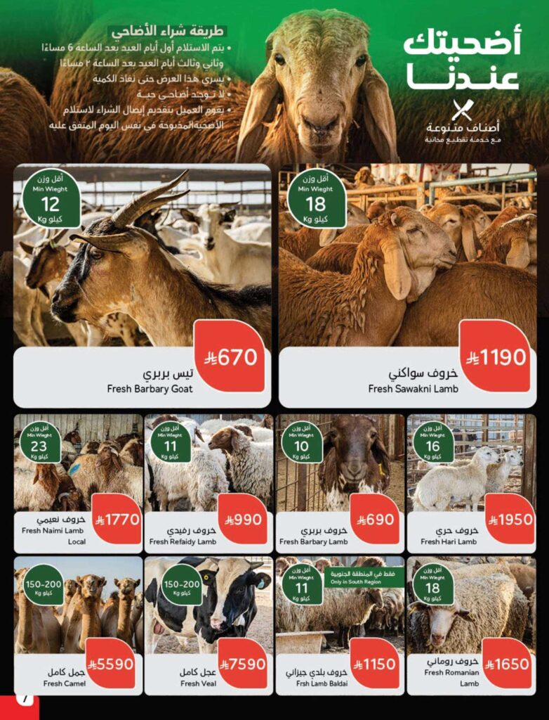 عروض بنده 