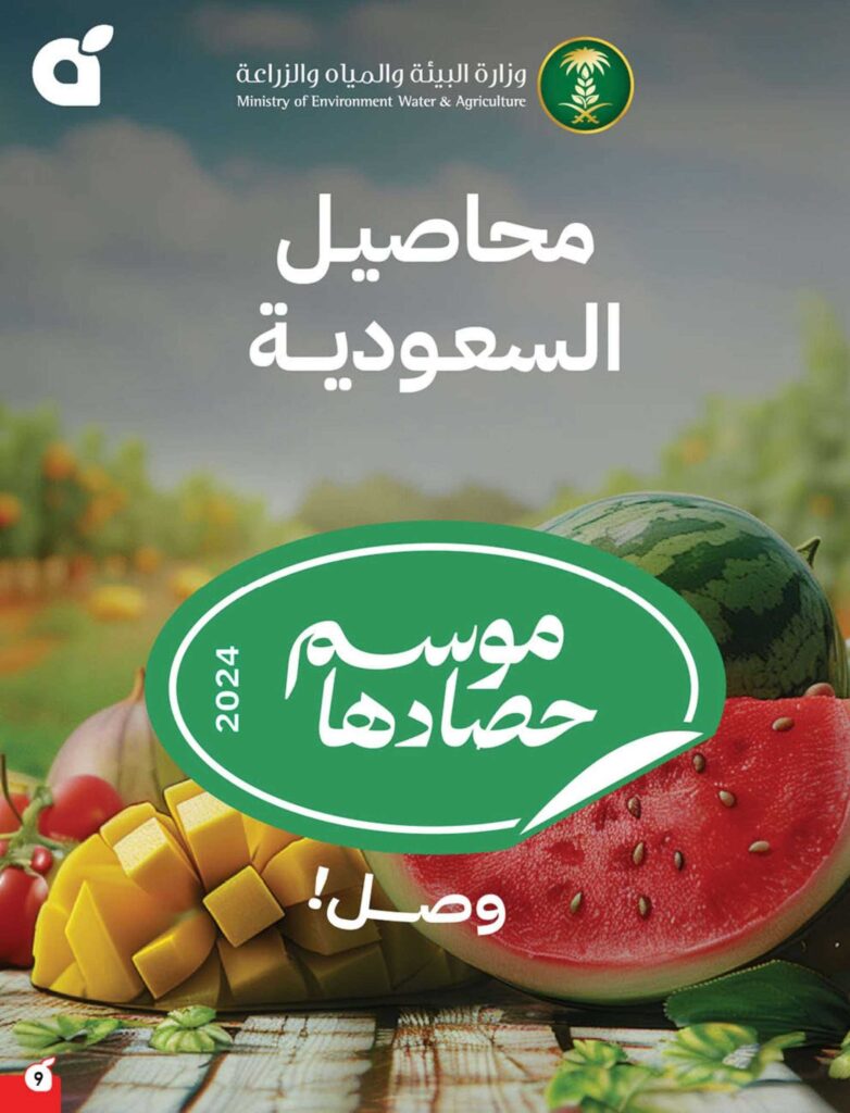 عروض بنده 