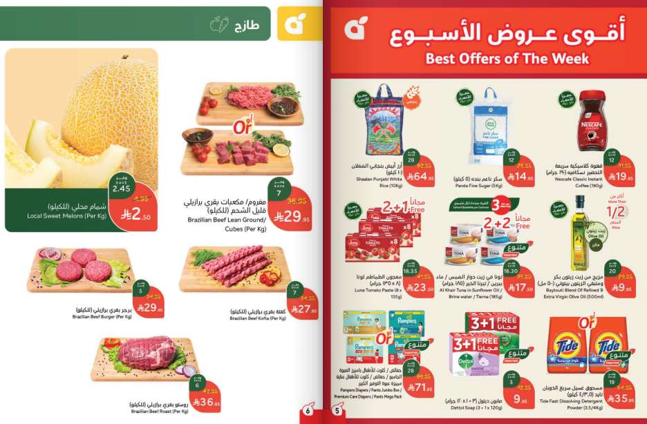 Snapshot ٢٥٠٨٠٦٠٠١١٣٧