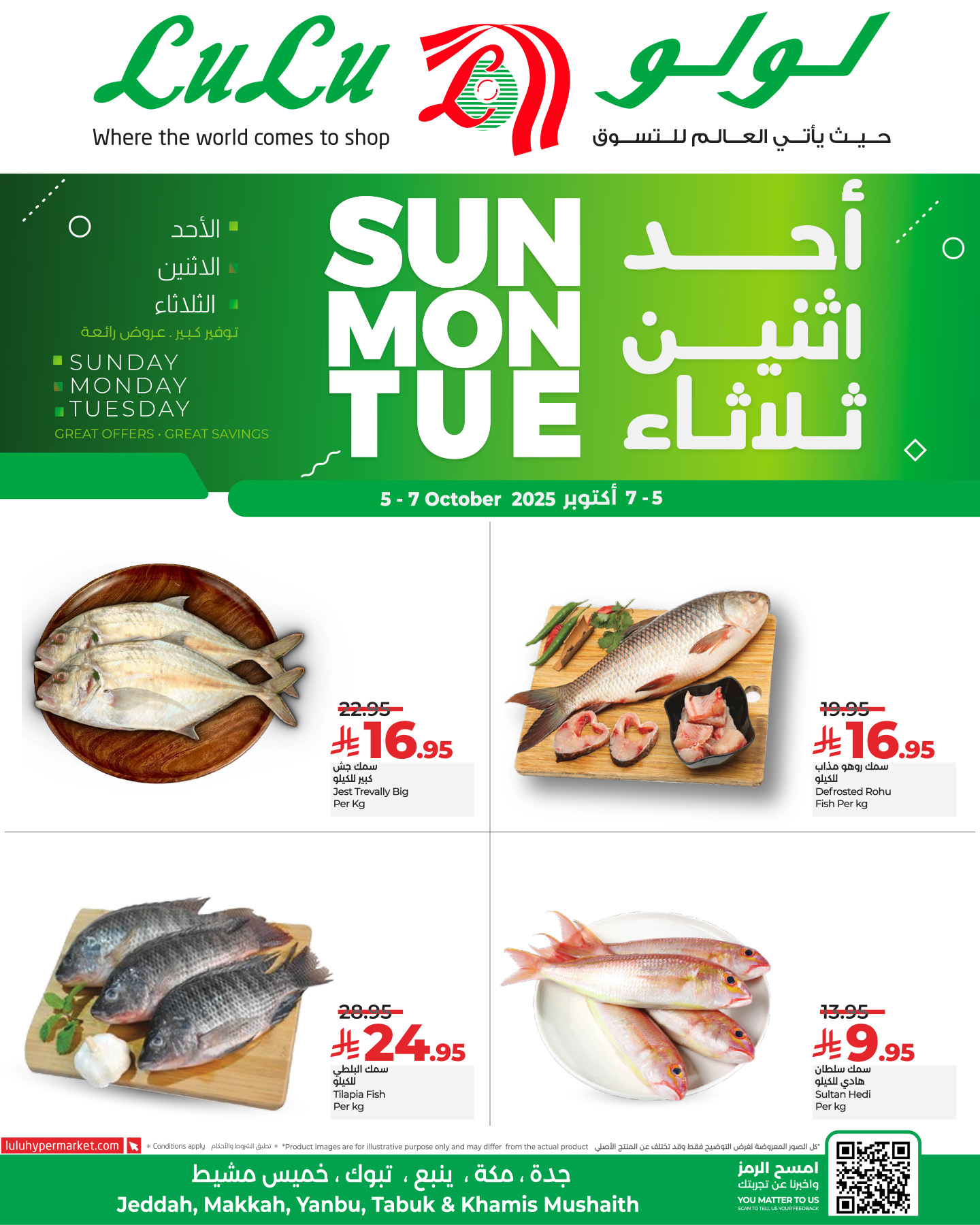 556494213 1261684959331113 1295259714891606968 n