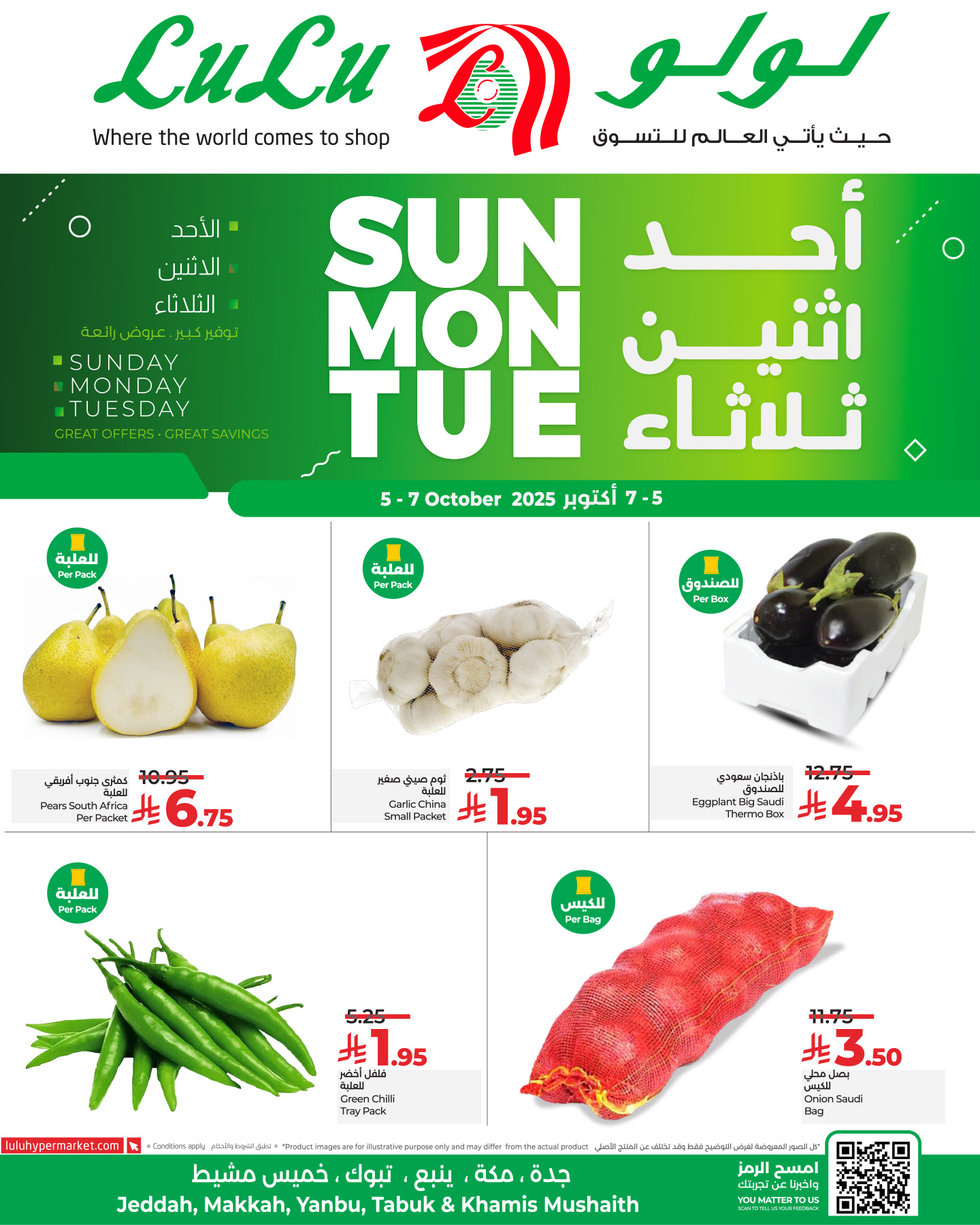 558505277 1261684919331117 8107134760273398693 n