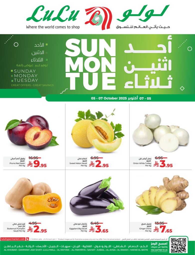 558665893 1235970488574528 6556353877712307756 n